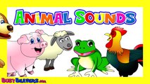 “Sonidos de animales” CLIP - Canciones para niños, Educación pre-escolar, Aprender inglés
