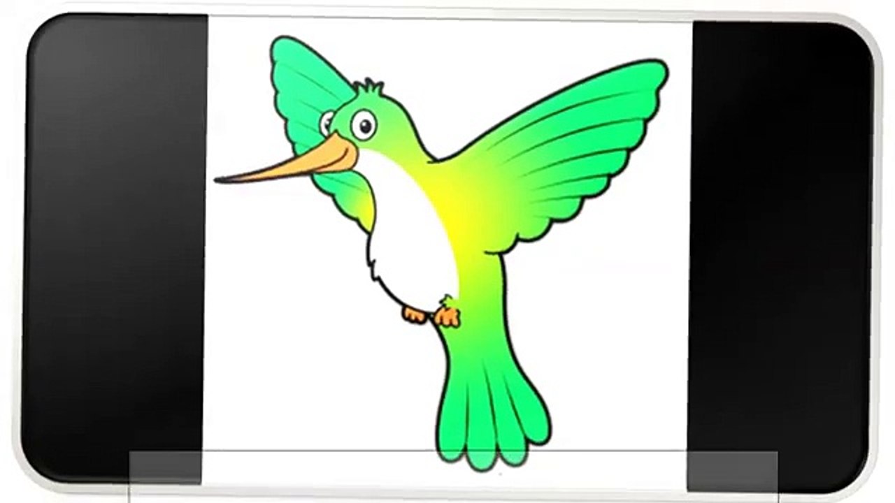 Cartoon Birds