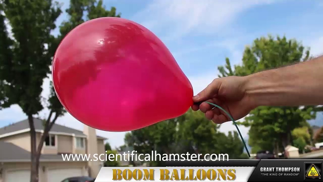 Boom Balloons