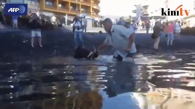 Benarkah kambing takut air?