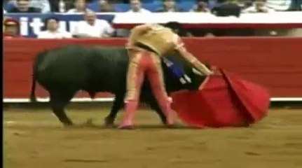 World's Most Amazing Videos - Animals Gone Wild.flv