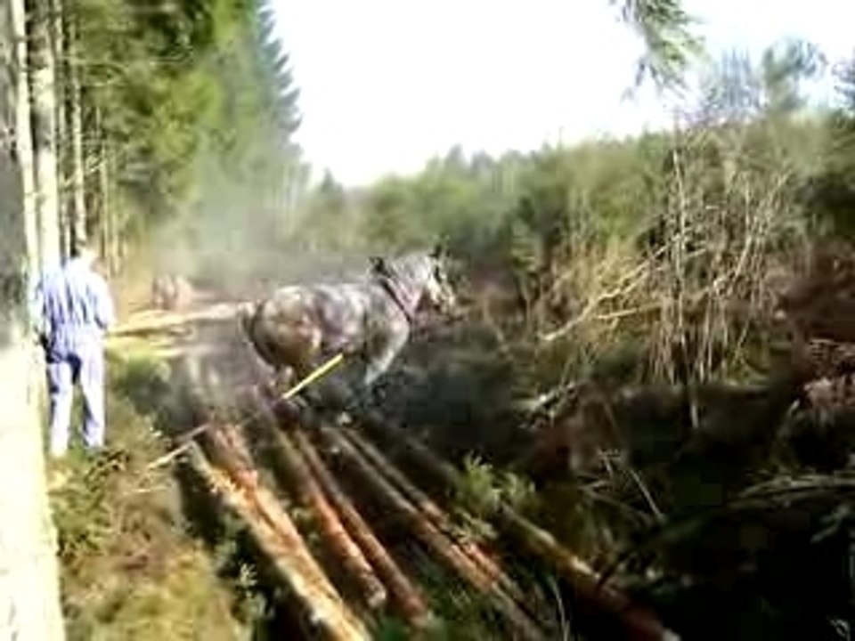 Débardage en Belgique AG FECTU2007 3/10
