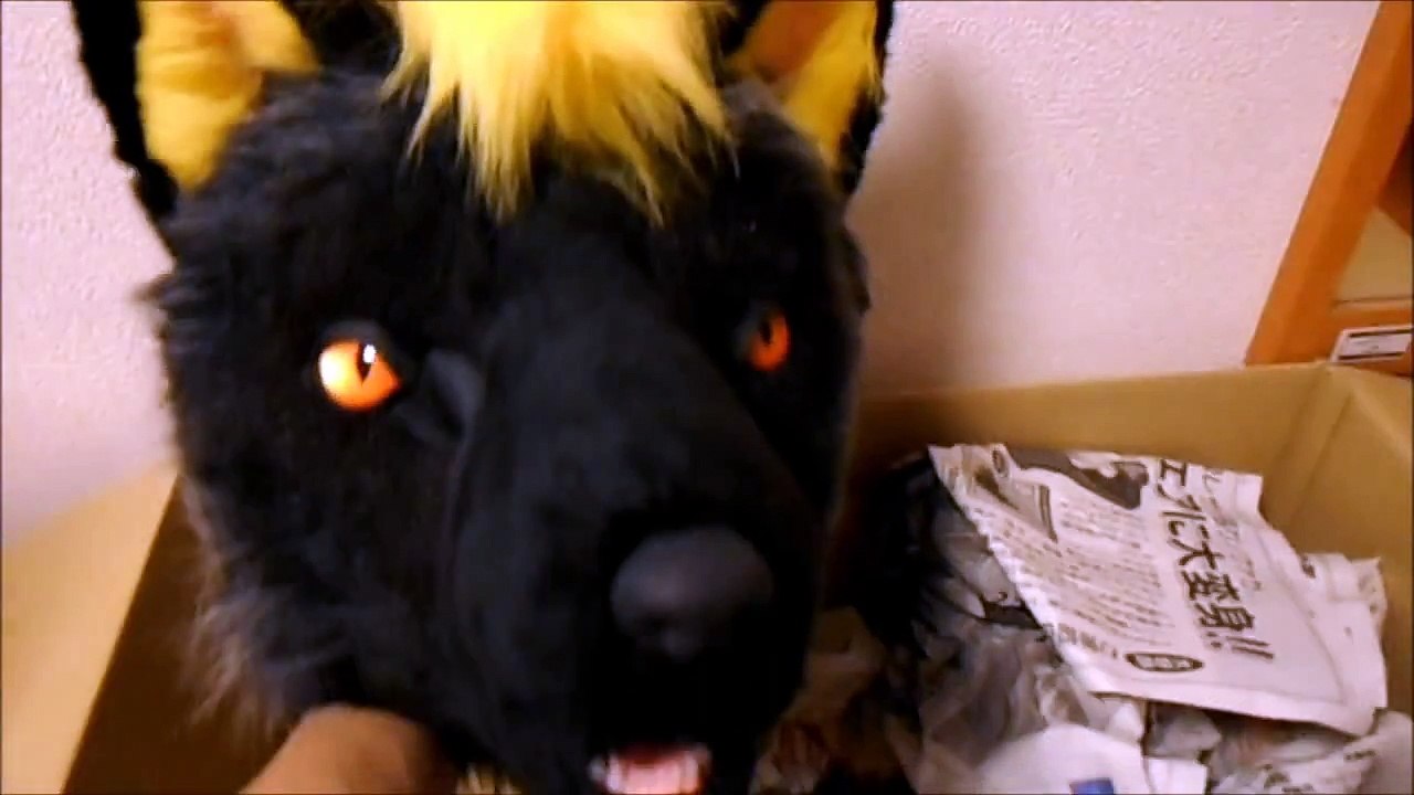 Black Fox Fursuit Unboxing and Wearing
