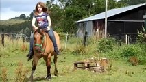 Mon poney et moi: Jeux et monte en cordelette! :)