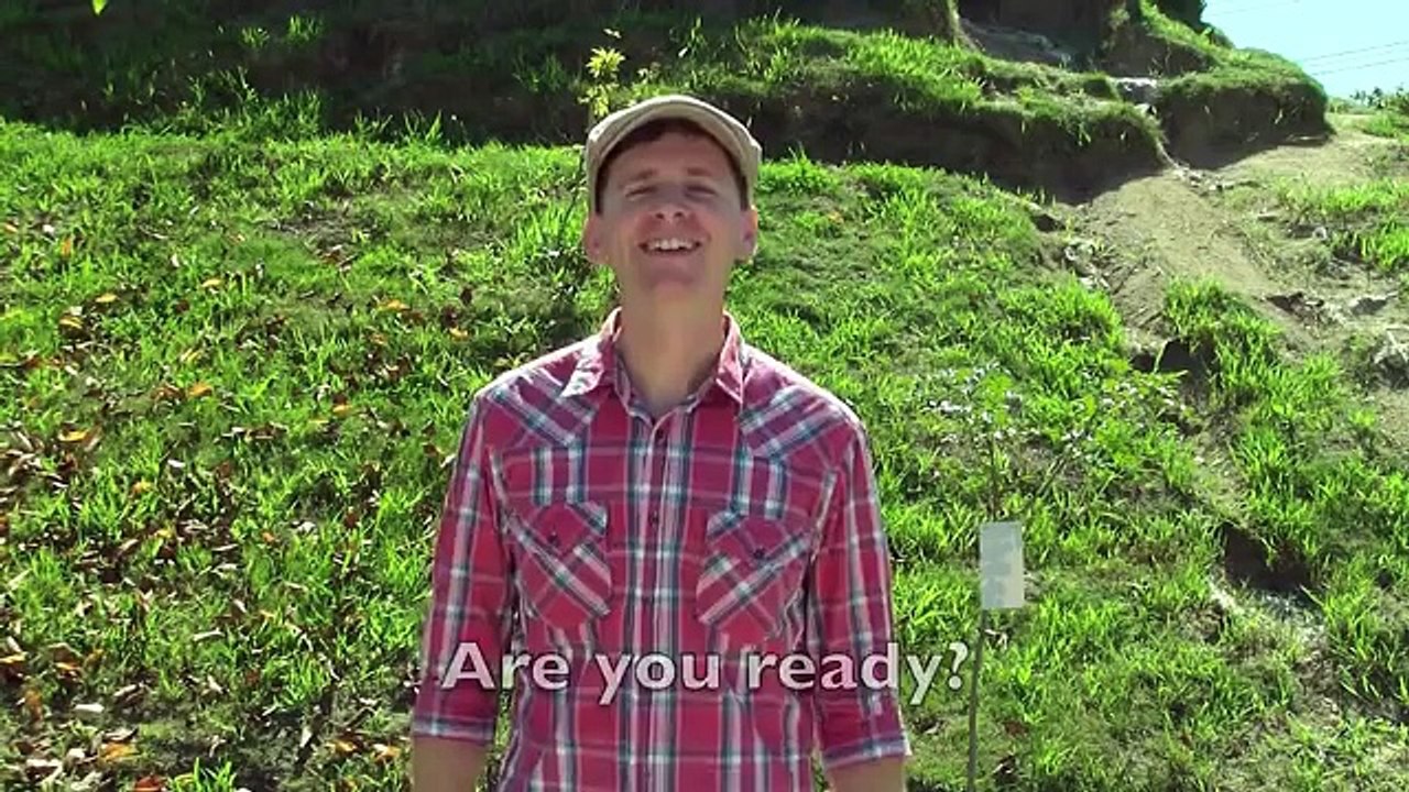 Move Left! Directions Song For Kids