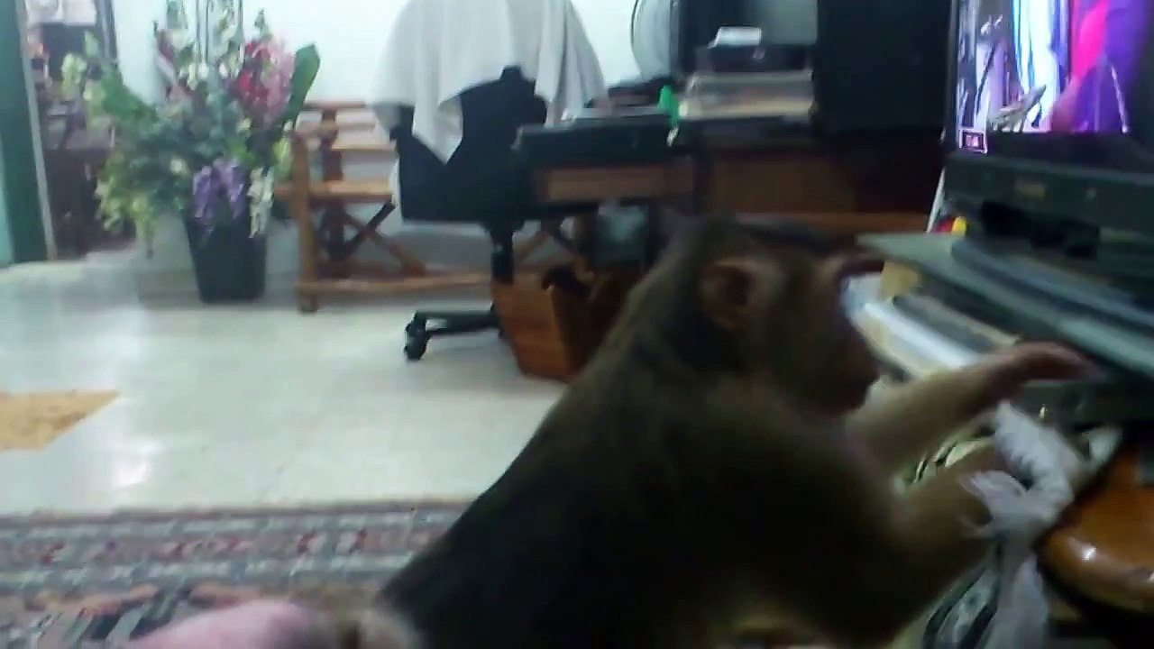 Shaki make me worry