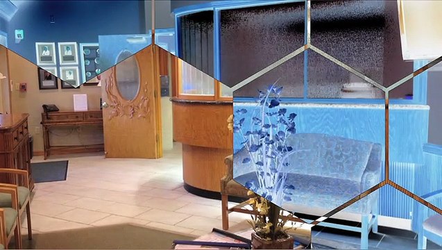 Dental Implant Testimonial - Tampa, FL - Palm Harbor, FL