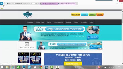 FortAdPays Explicación, Paquetes y Ganancias.
