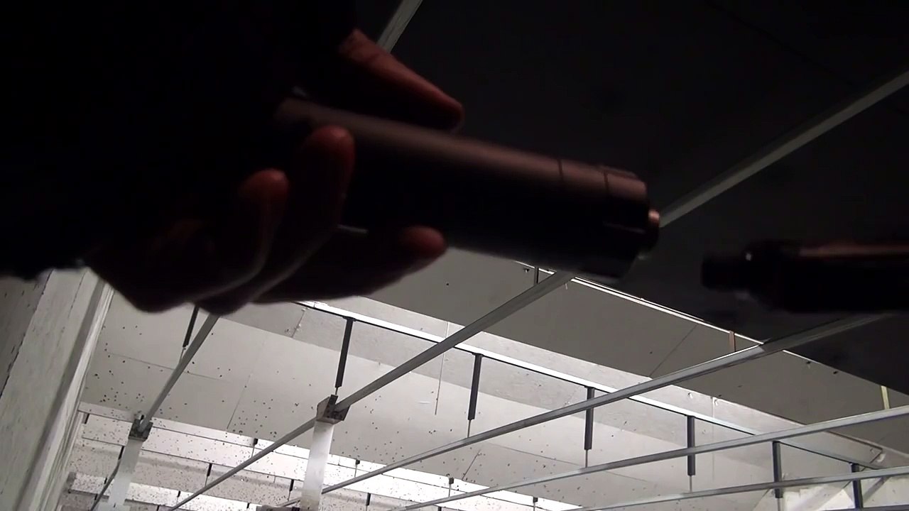 Walther ppk/s .380 suppressed with ti-rant 9s