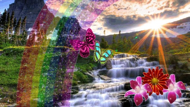 группа Божья коровка - Серенада на тему В мире животных