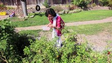 Lung Cancer treatment at Stanford: Santwona Behera's story