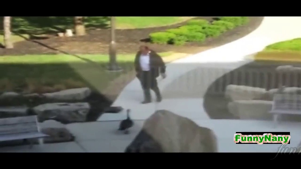 Funny Animal Attack