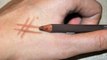 shiseido natural eyebrow pencil