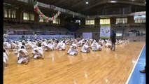 kagawa sensei  karate kata  Unsu seminar jks