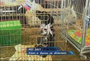Pet Day reúne amantes de animais de estimação em Brasília