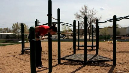 Single Bar Dips