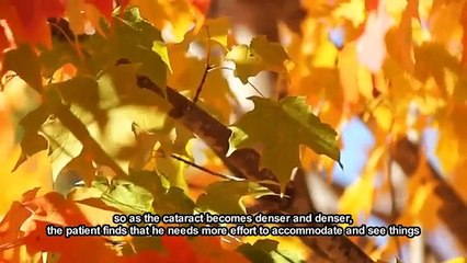 Clouds belong in the sky but not in our eyes