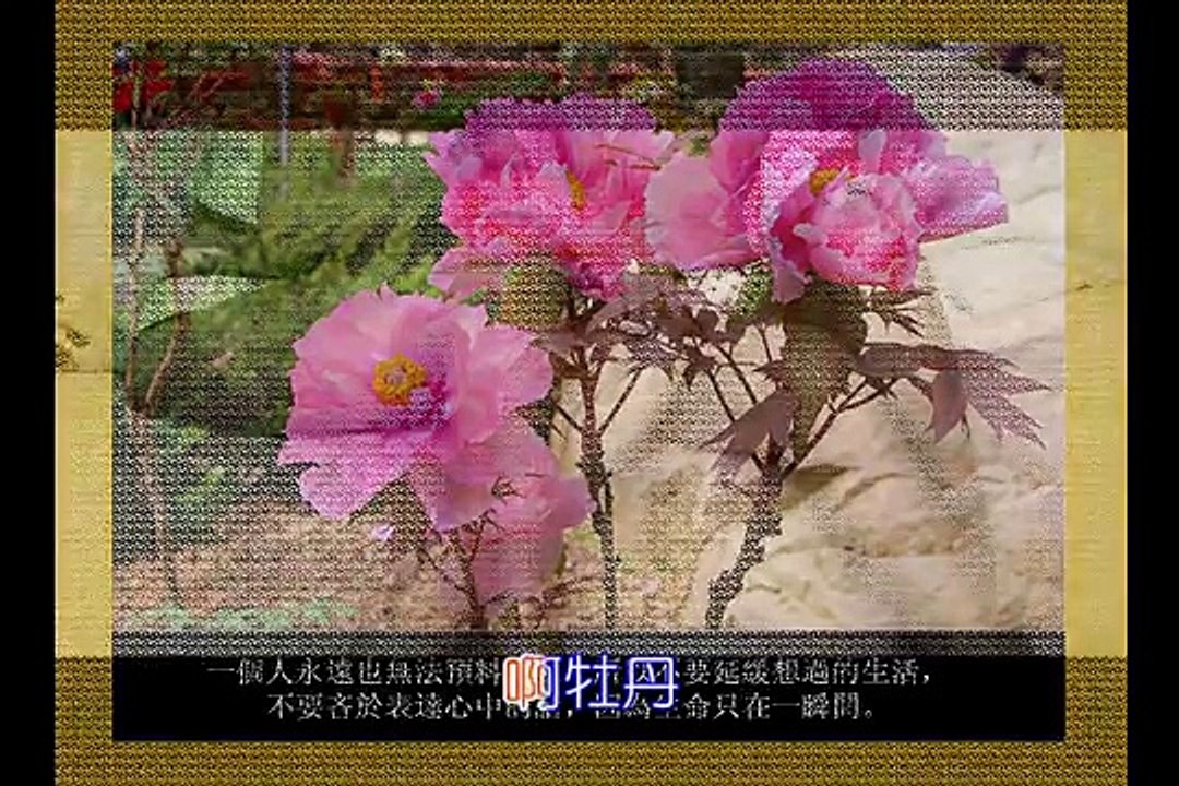 【牡丹之歌】★時代金曲★