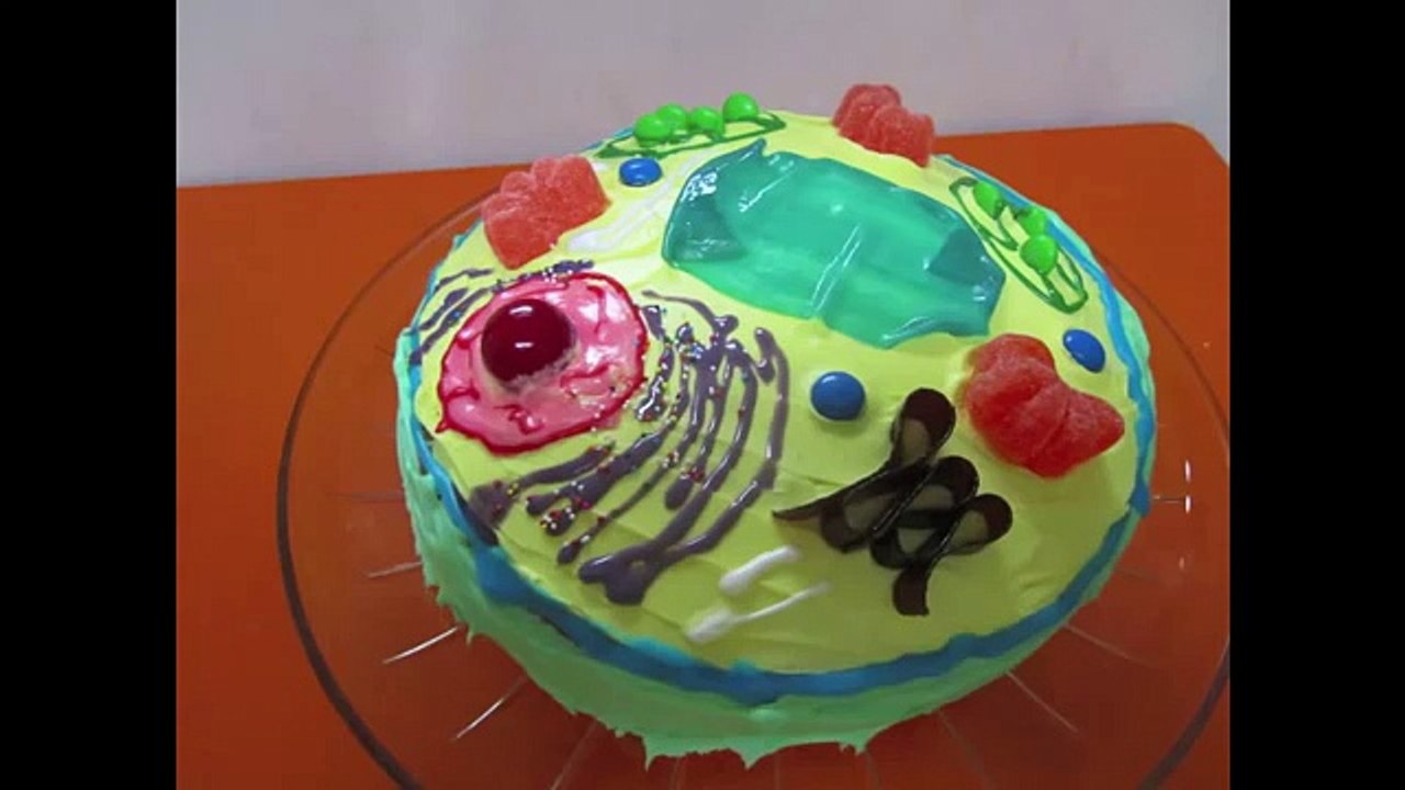 How to make a plant cell cake
