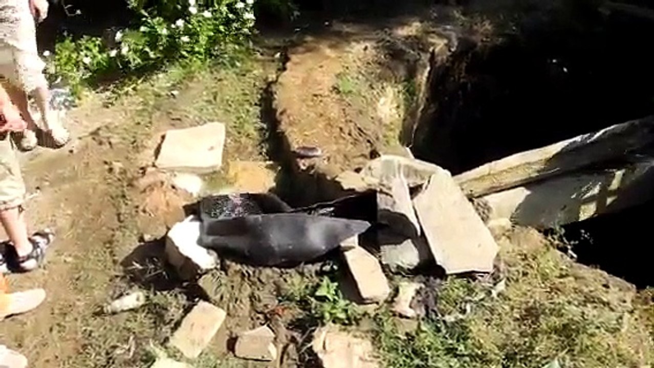 Landwirtschaft in Indien