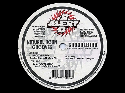 Natural Born Grooves ‎– Groovebird (Aural Satisfaction Rmx)