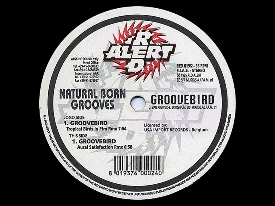 Natural Born Grooves ‎– Groovebird (Aural Satisfaction Rmx)