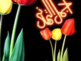 تهنئة عيد الفطر المباركـ 1433هـ