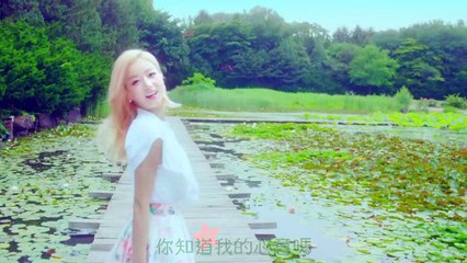 [繁體中字] Apink -花瓣占卜 (Petal) MV