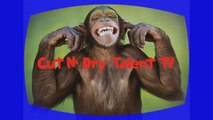 Cut N' Dry Talent TV (Episode #010 Indie Music Videos)