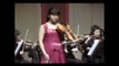 Joseph Schubert Viola Concerto 1st mov