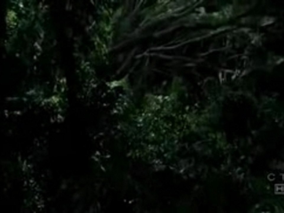 Lost.S03E15.HDTV.XviD