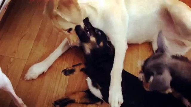 『1등CLASS｝온라인바카라【N-I-P-7-7-7。ｃｏｍ】인터넷바카라사이트 NEW WEST 추천