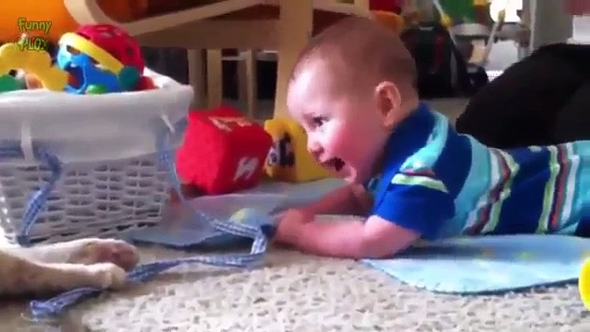 Funny Videos - Funny Baby - Funny Pranks - Funny Babies - Funny Kids 2015