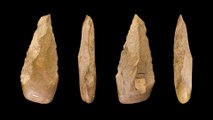 Early Humans Were Scavengers, Not Hunters