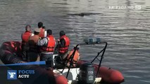 Une baleine se perd dans la marina de Buenos Aires