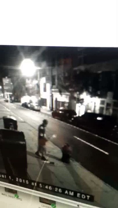 HitchBot Surveillance Video