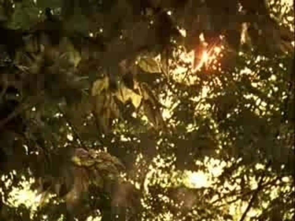 Air - Playground Love