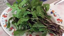 Thailändischer Rinderhackfleisch Salat -   ลาบเหนื่อ / นำ้ตก / Laab