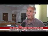 LIKA: SHQIPËRIA T’I NDIHMOJË SHQIPTARËT NË MALIN E ZI