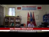 ÇULIÇ: HARROHET PAKICA MALAZEZE