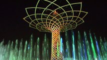 Albero della vita Expo 2015 Spettacolo serale