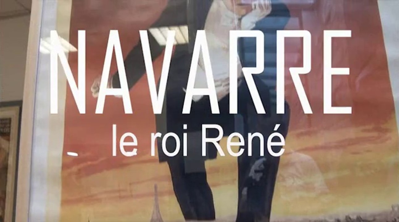REGARD 348 Exposition RENE NAVARRE à la BILIPO. RLHD.TV