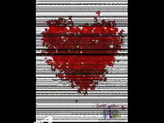 Maji Danger   Ti u Ktheve