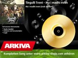 Tingulli Trent - Ma i madhi nven (rock version) - Ma i MADHI nven - Full Version - 2010