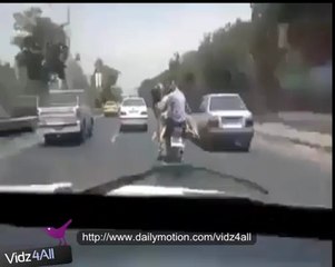 Animal transport logistics Funny vidz4all