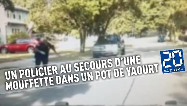 Un policier aide une mouffette coincée dans un pot de yaourt