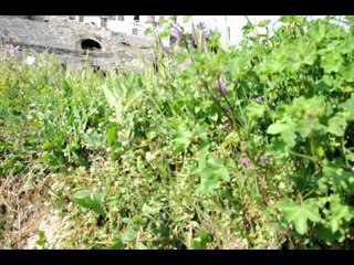 LYNX---Peng i kohes ti s'do jesh! (backstage)