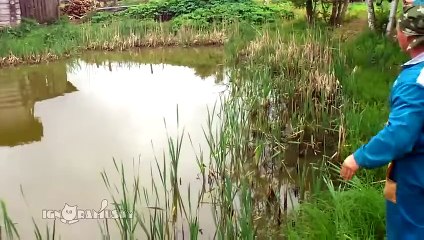 Des pêcheurs se font troller par un chat