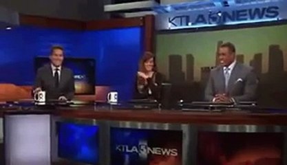 Reporter Calls Anchor Fat On Live TV