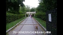 日本からきた小さな犬のベルリン散歩15-メルヘン噴水